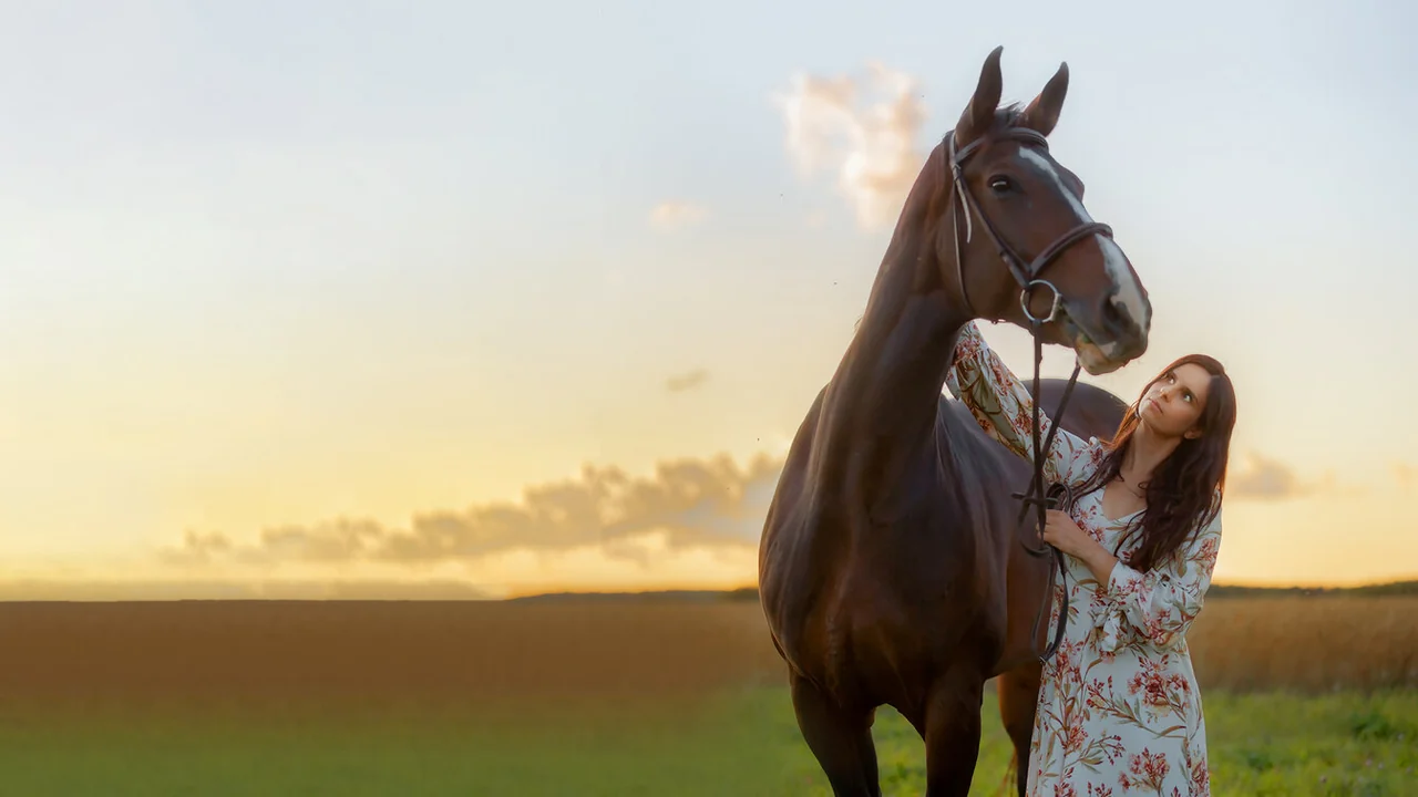 Фильм Половинка меня (2020)
